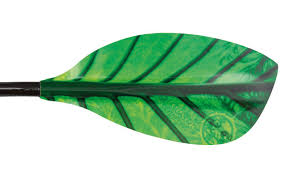 ROBSON CHLOROPHYLL PADDLE